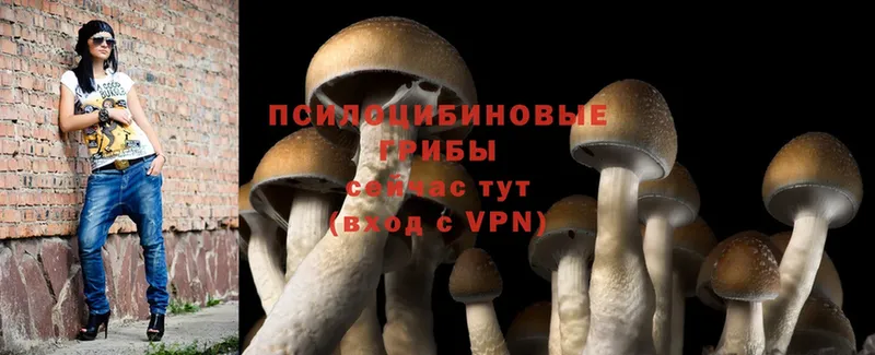 Псилоцибиновые грибы MAGIC MUSHROOMS  blacksprut как войти  Нягань 